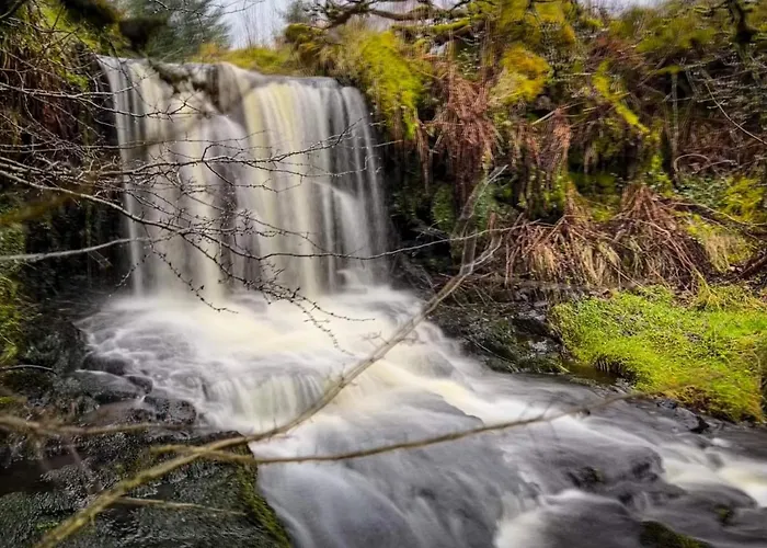 Glenariff Forest Getaway