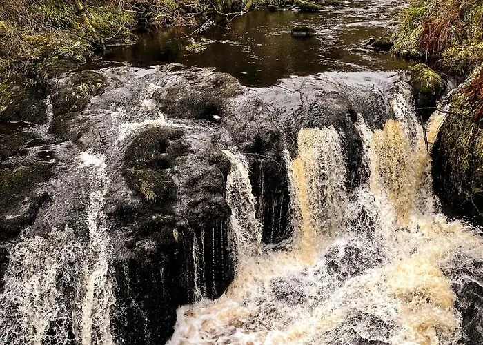 Glenariff Forest Getaway