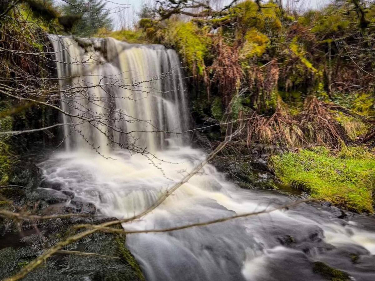 Forest Getaway * Glenariff